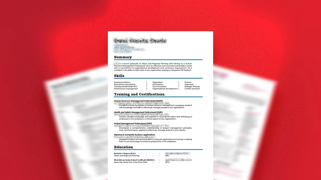 International CV and Resume Writing